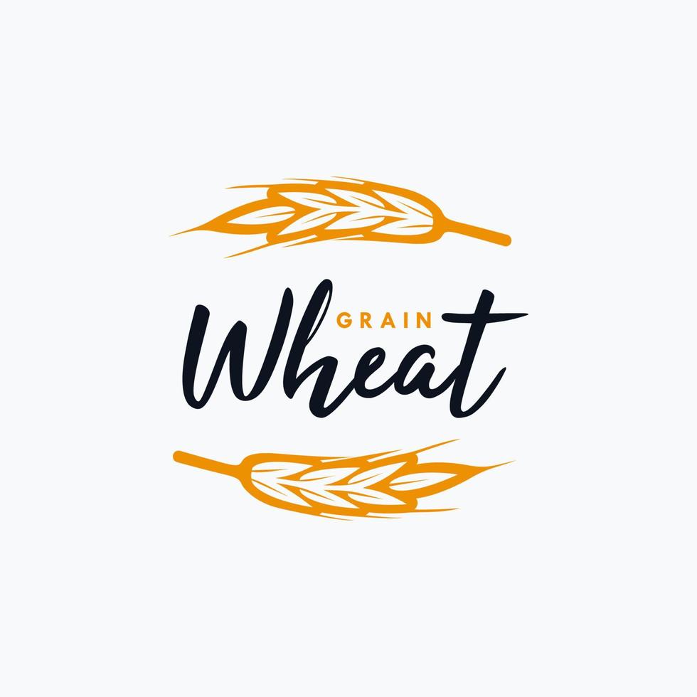 Agriculture wheat grain vector icon design