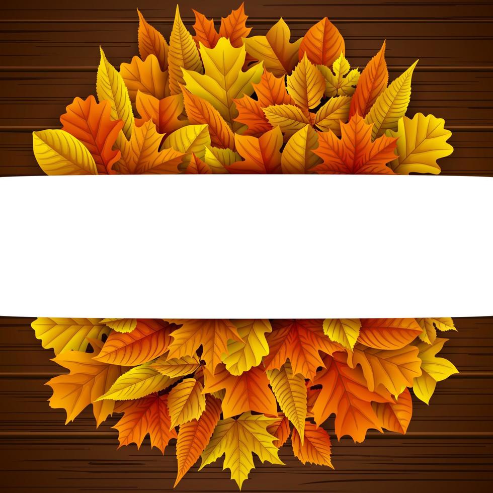 Autumn leaves background vector