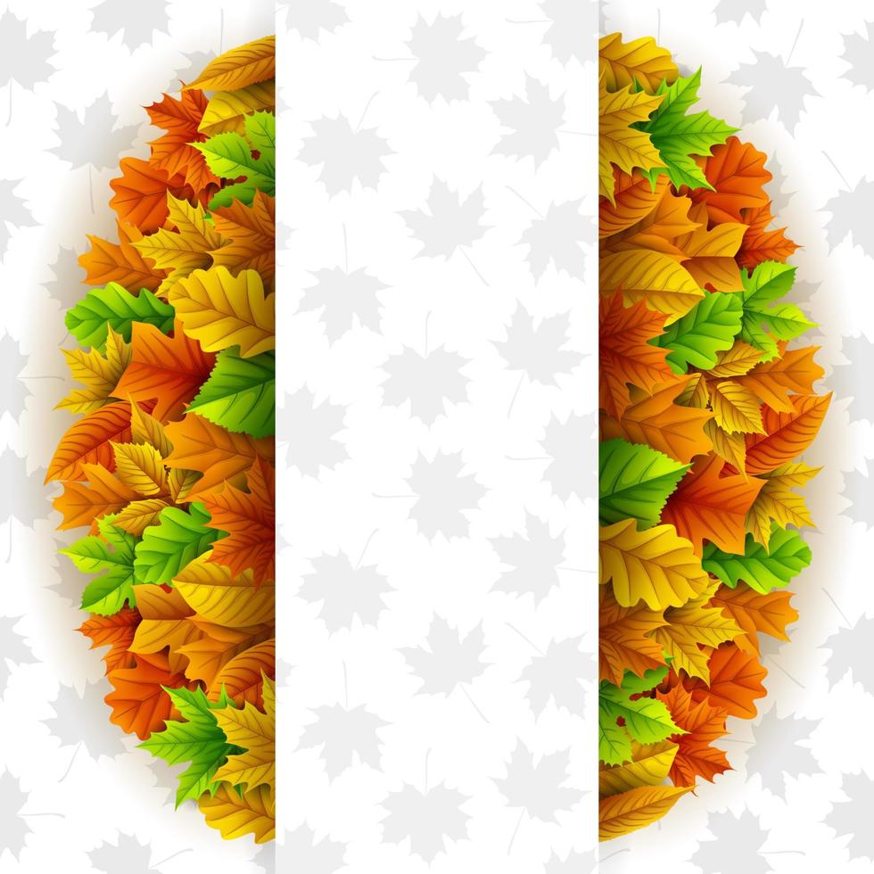 Autumn leaves background vector