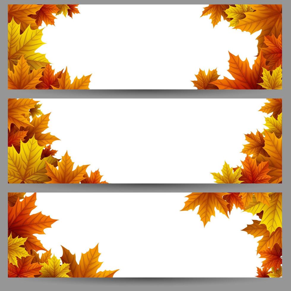 Autumn leaves background vector