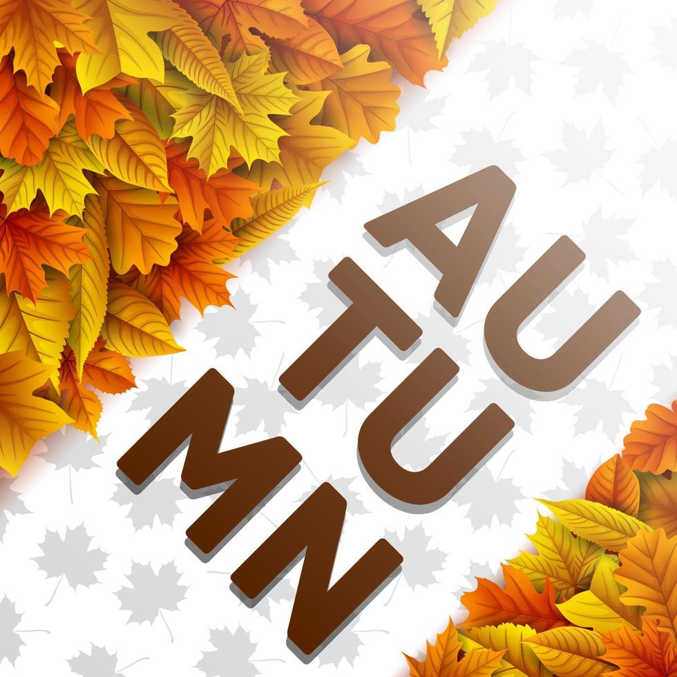Autumn leaves background vector