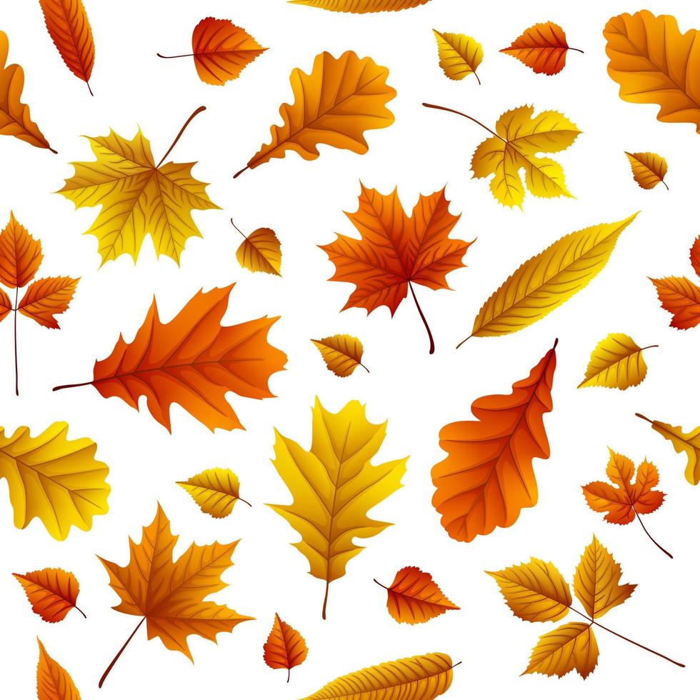 Autumn leaves background vector