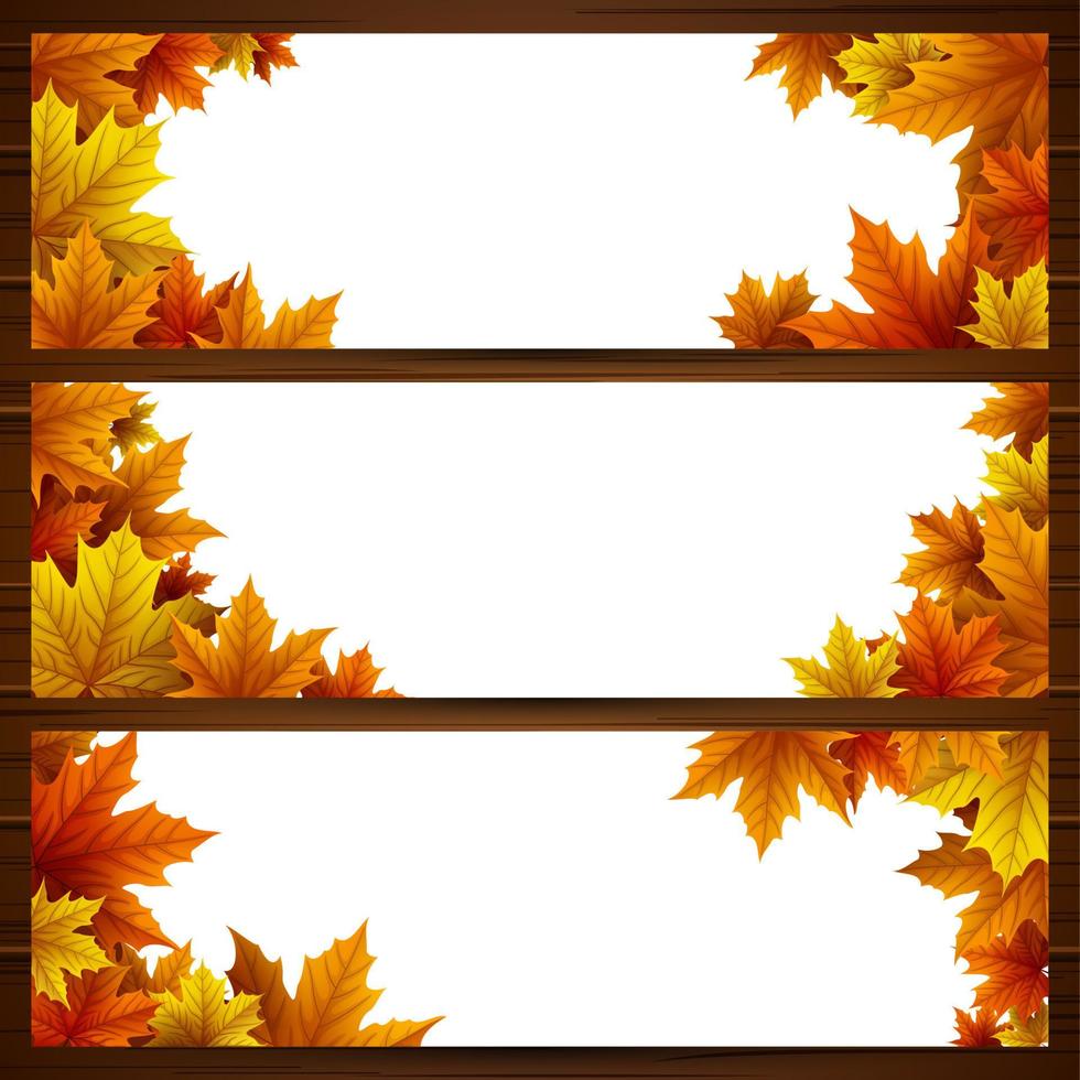 Autumn leaves background vector