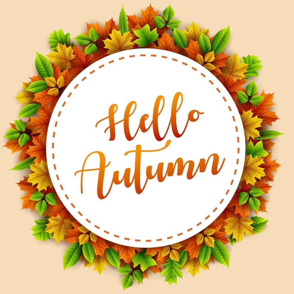 Autumn leaves background vector
