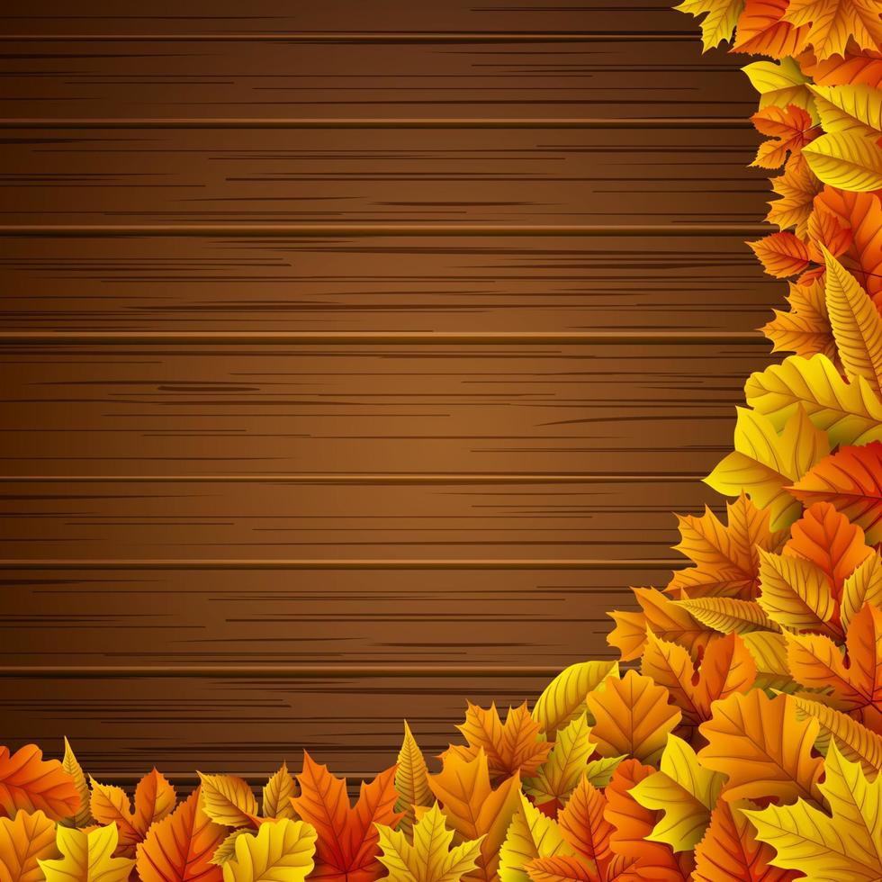 Autumn leaves background vector