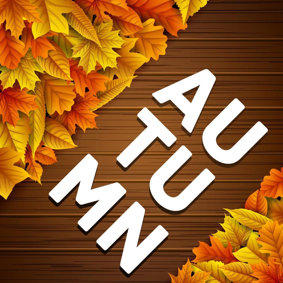 Autumn leaves background vector