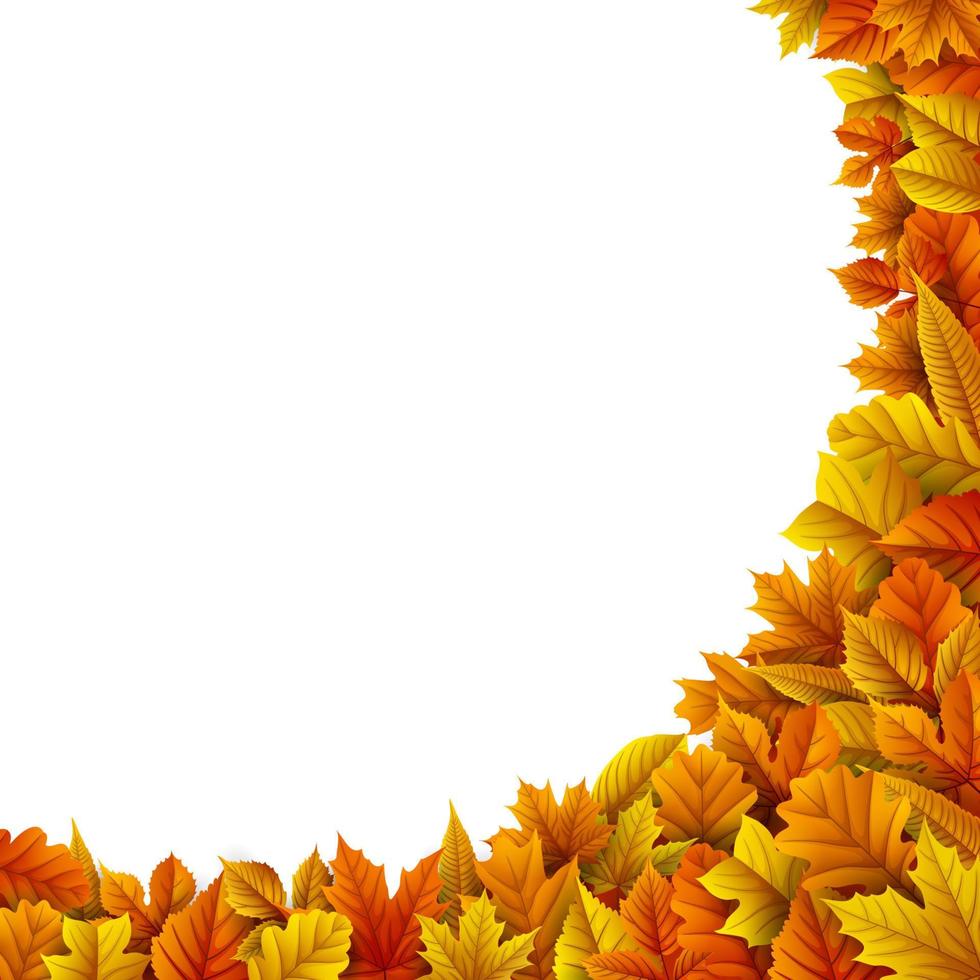 Autumn leaves background vector