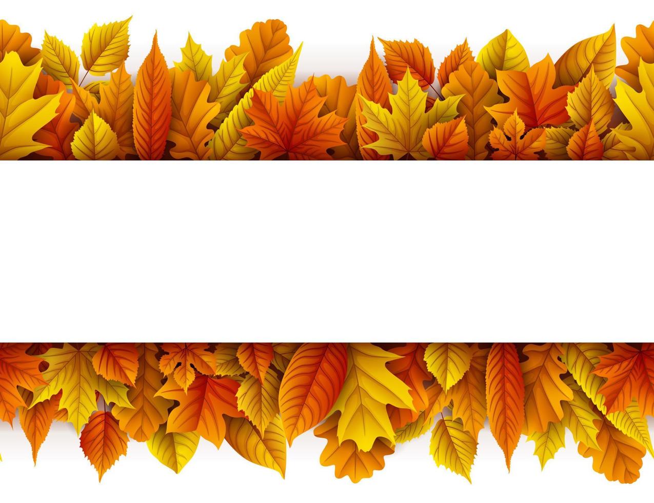 Autumn leaves background vector