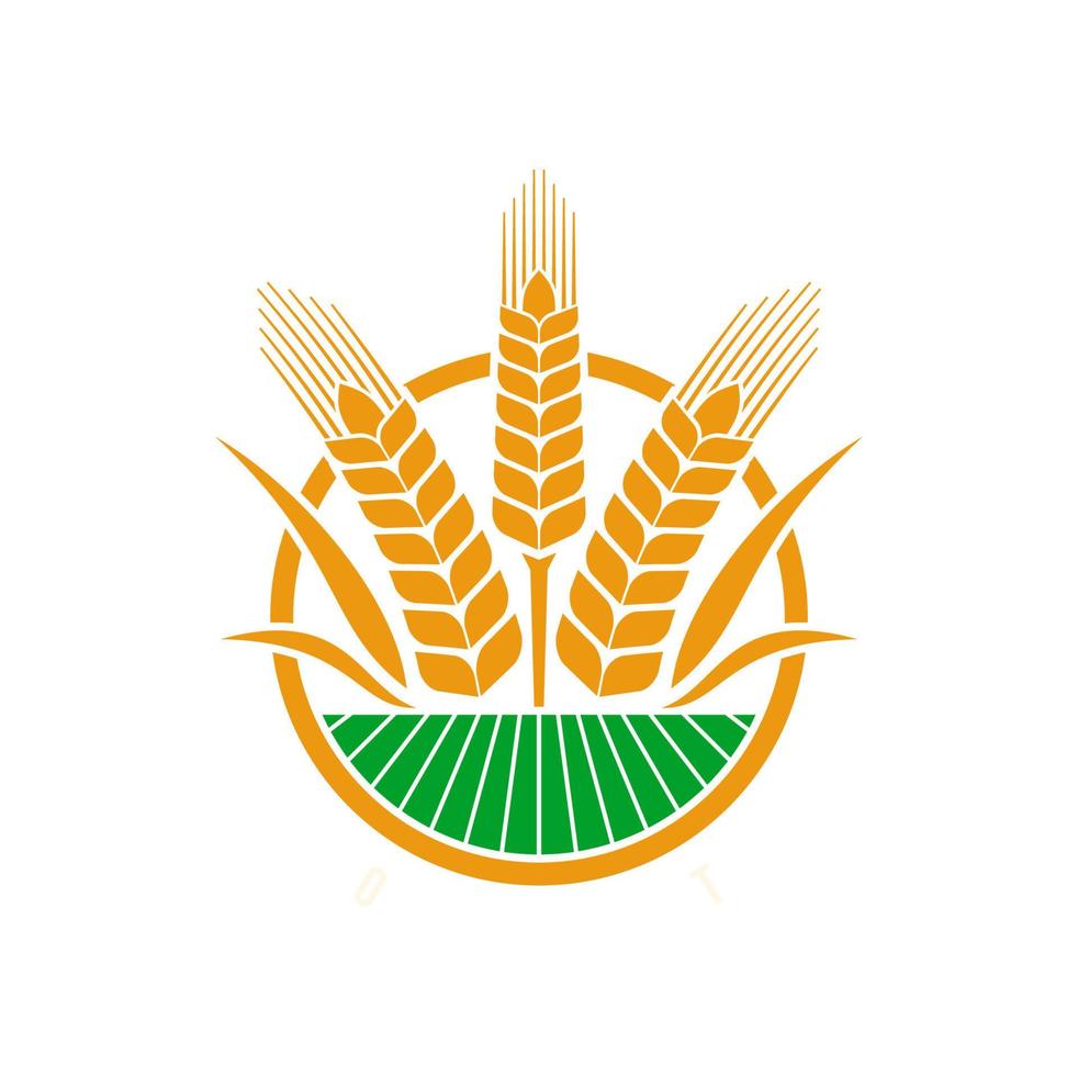 Cereal ear and spike icon of wheat, rye, barley vector