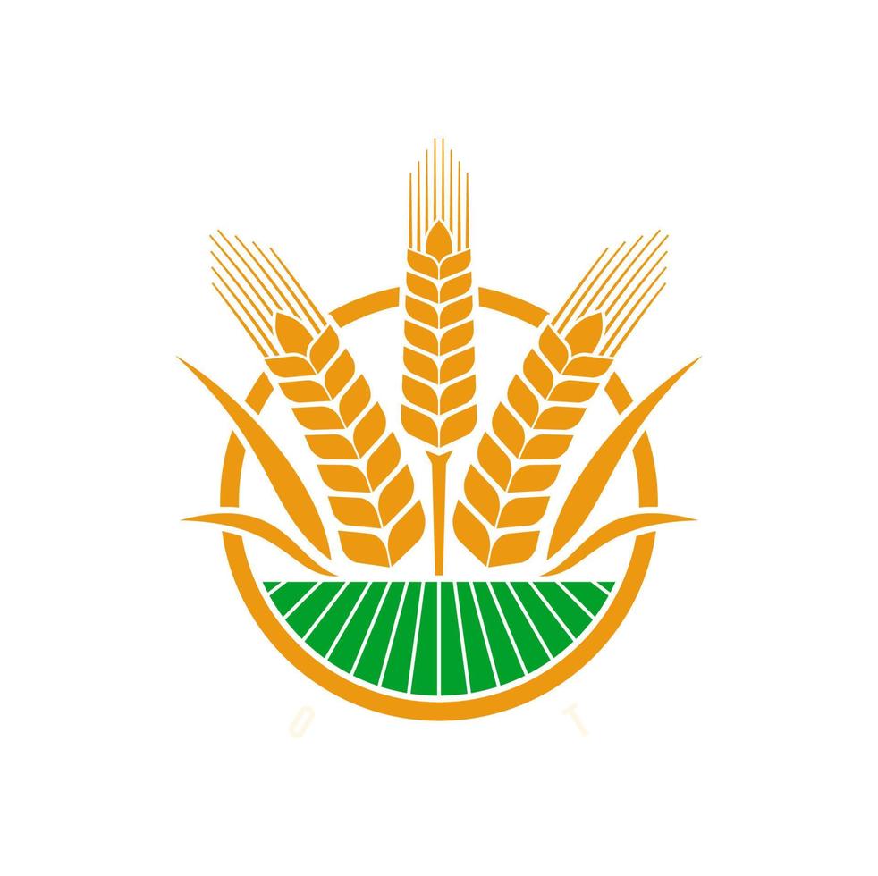 Cereal ear and spike icon of wheat, rye, barley vector