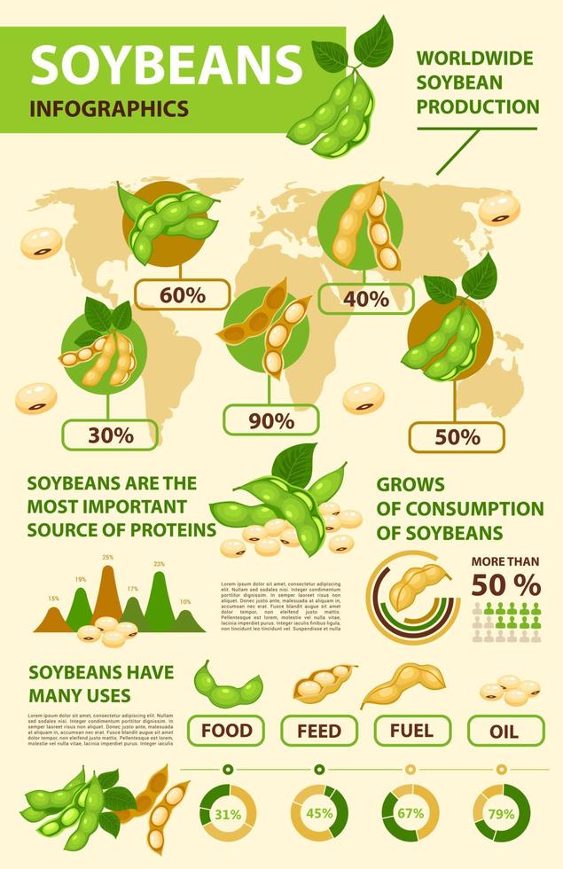 infografías de soja y soja, producción de frijoles vector