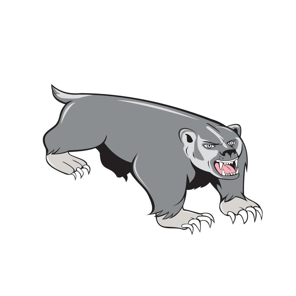 Badger Pouncing Cartoon vector