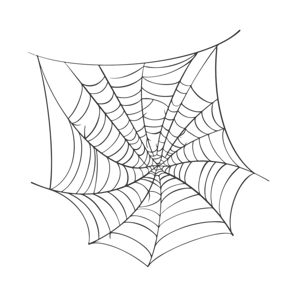 Vector Spider web icon drawn in one line on white for halloween.