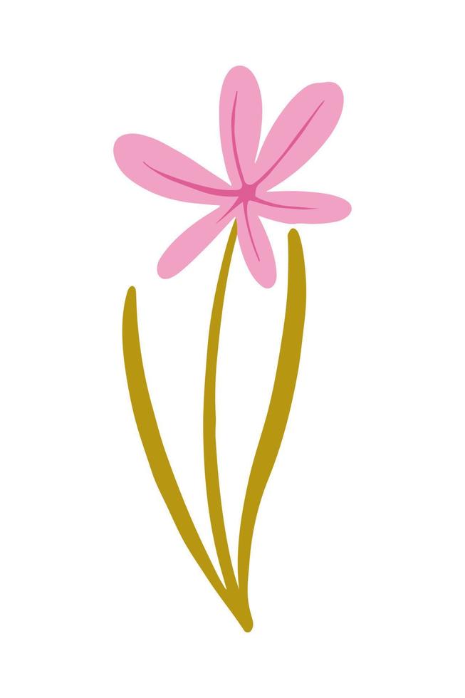 ilustración vectorial de flor silvestre rosa dibujada en un estilo plano. vector