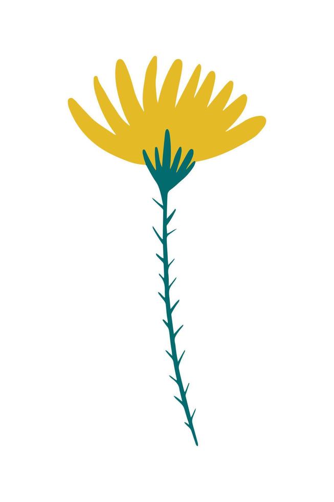 ilustración vectorial de una flor de diente de león de campo amarillo dibujada en un estilo plano. vector