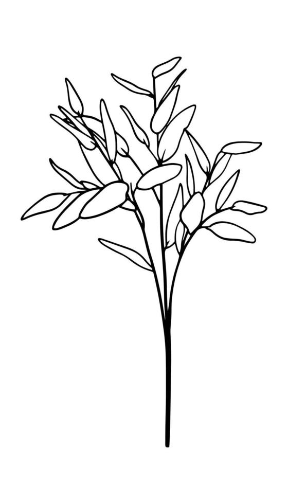 Deciduous plant vector illustration hand drawn in one line.