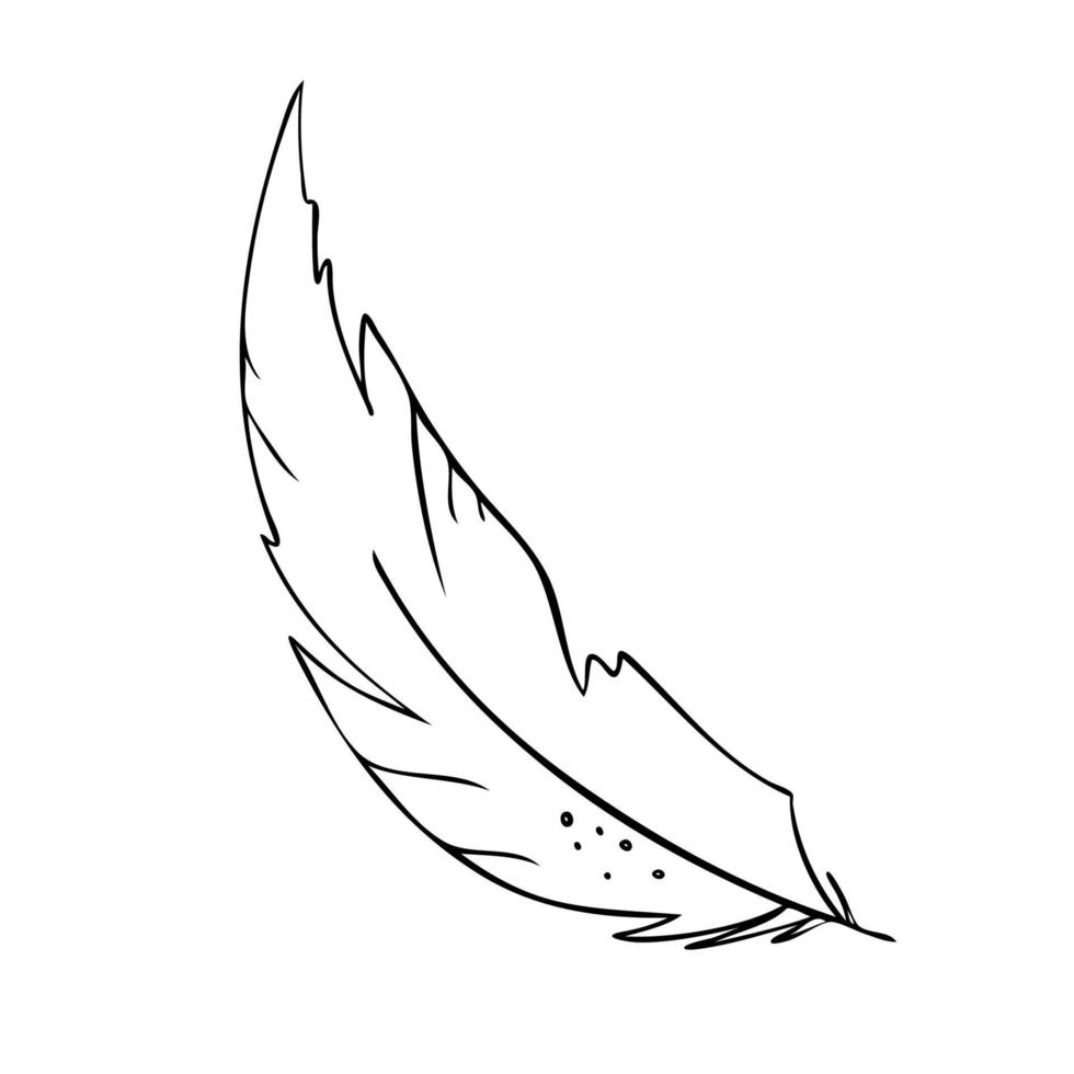 Feather of birds. Black and white feather silhouette for logo vector hand drawn set.