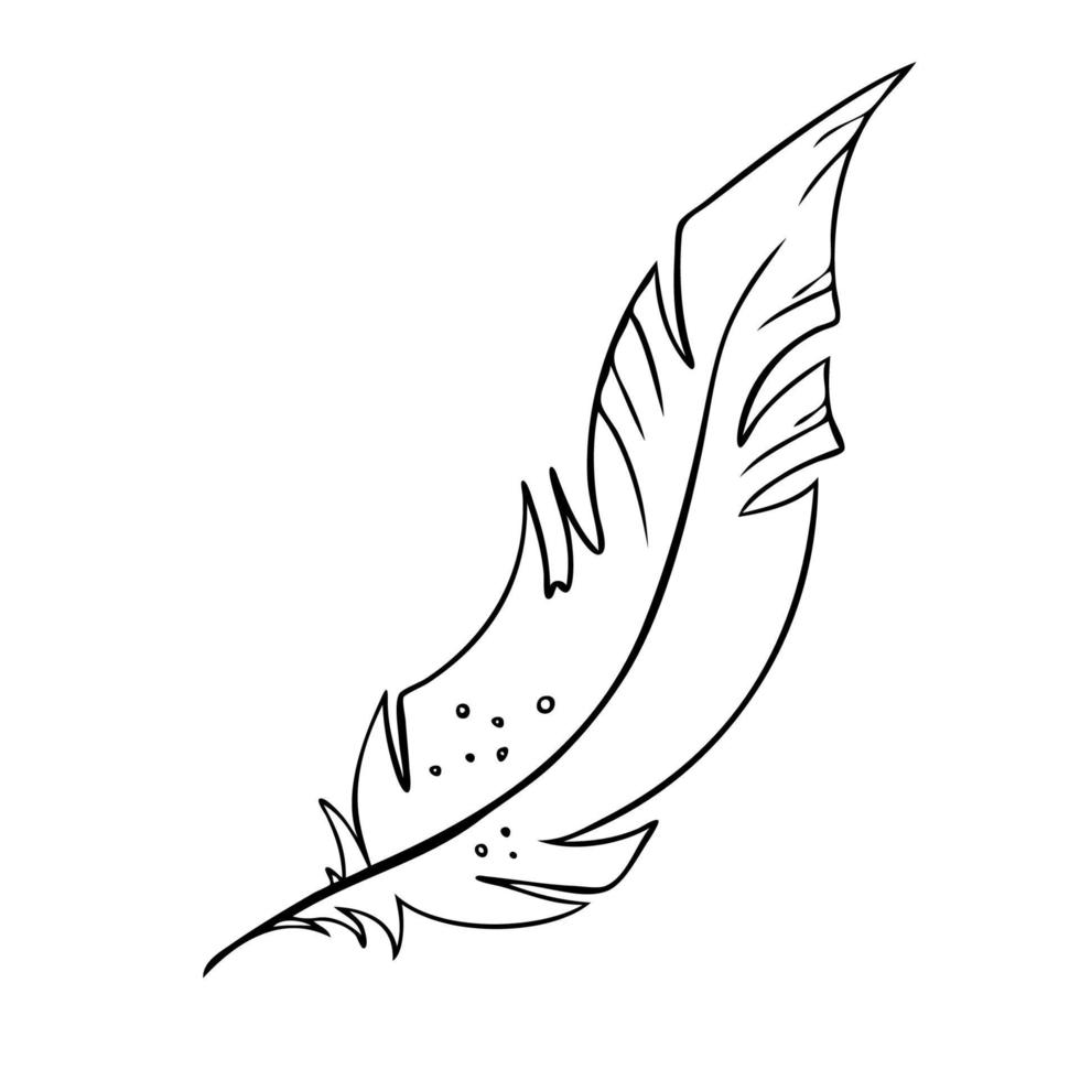 Feather of birds. Black and white feather silhouette for logo vector hand drawn set.