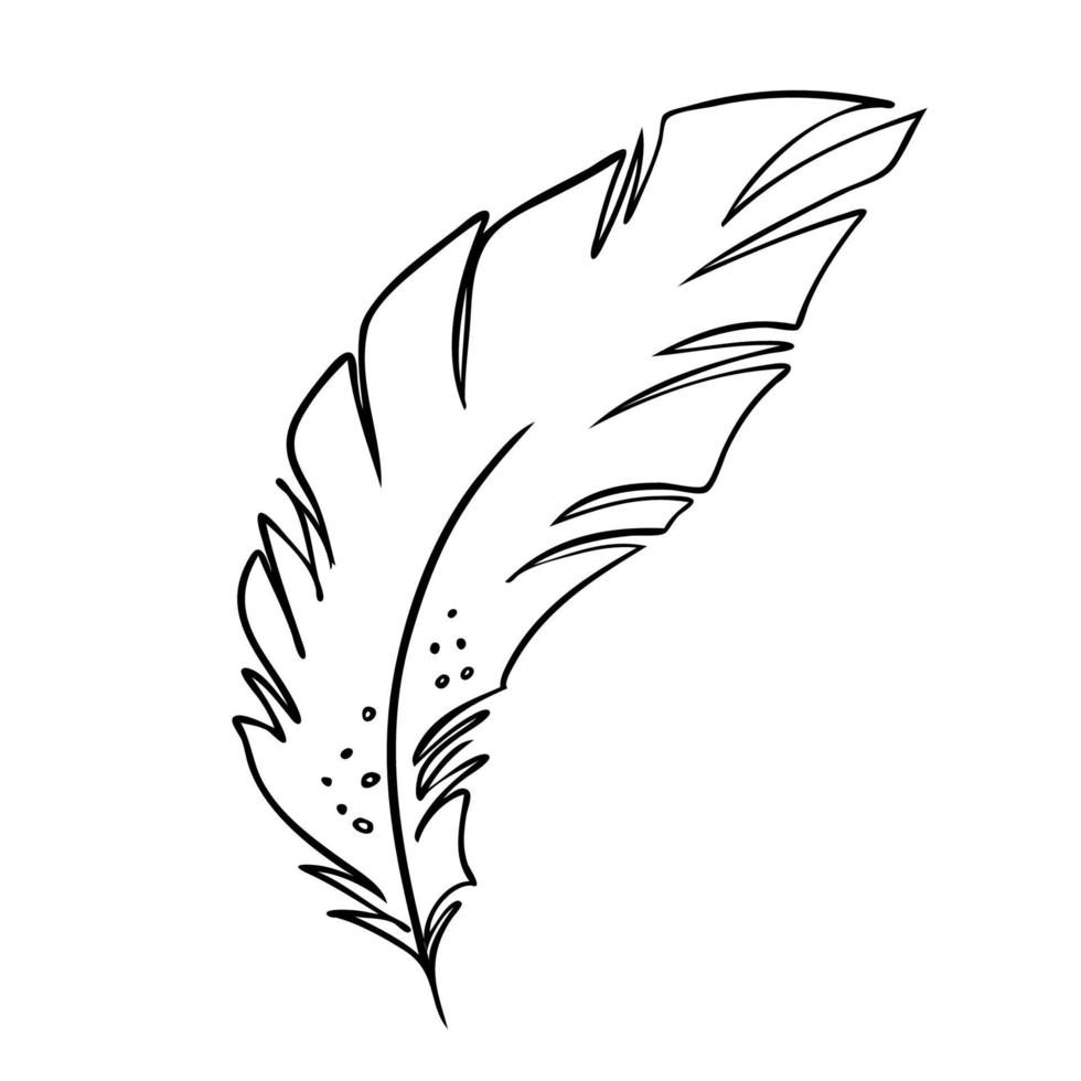 pluma de aves. silueta de pluma en blanco y negro para el conjunto dibujado a mano con vector de logotipo.