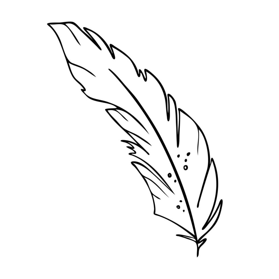 Feather of birds. Black and white feather silhouette for logo vector hand drawn set.