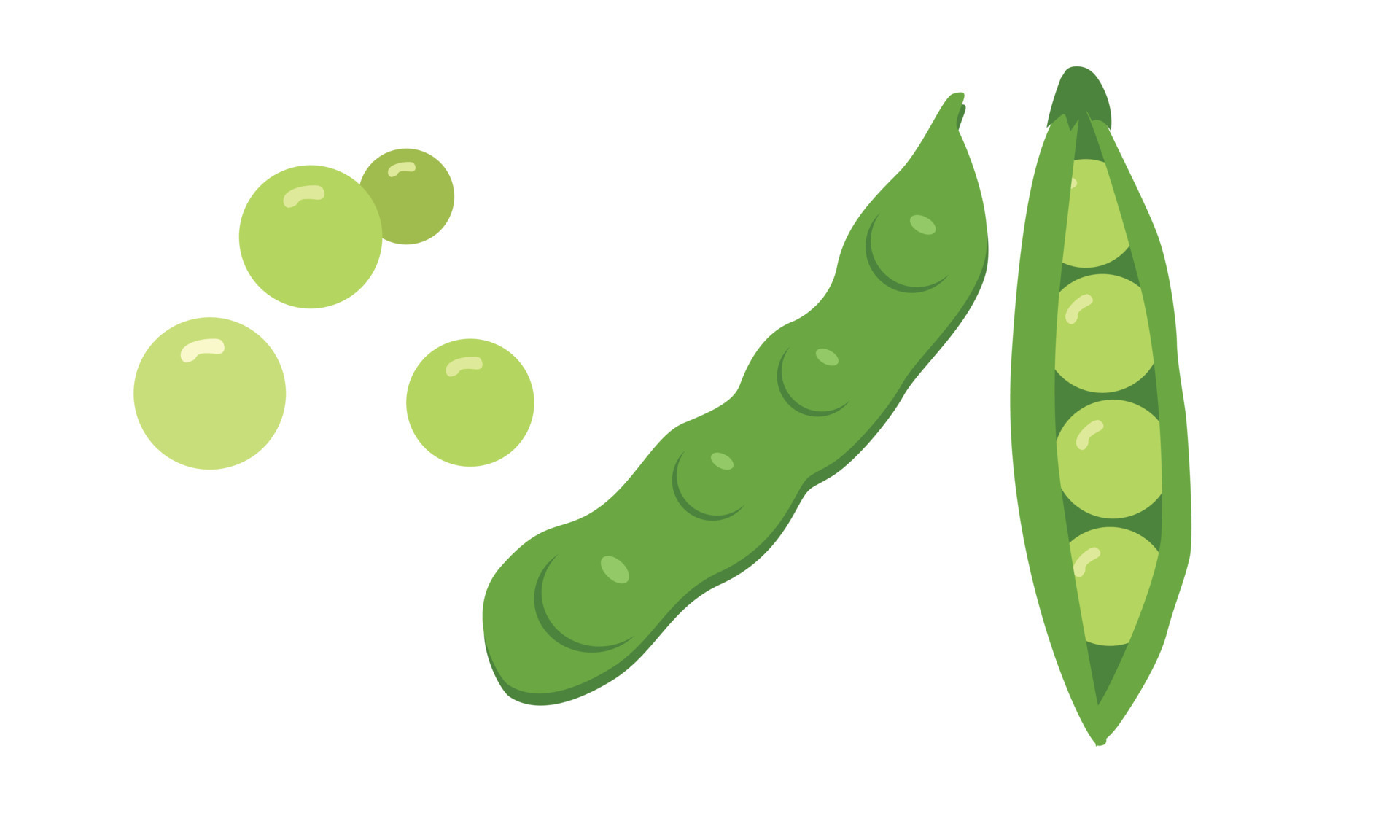 Simple green pea clipart vector illustration isolated on white background.  Pod of green peas flat cartoon style. Green peas sign icon. Organic food,  vegetables and restaurant concept 11157267 Vector Art at Vecteezy