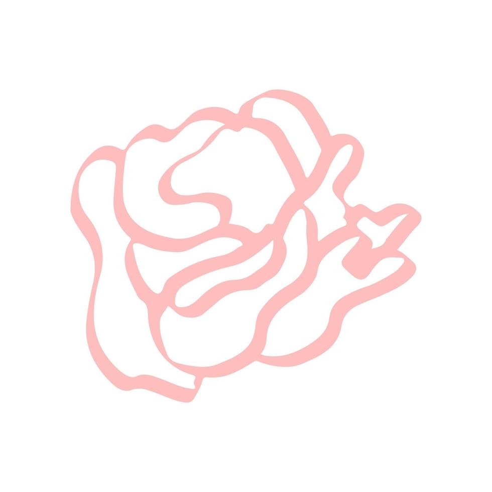 Sketch rose doodle hand drawn vector