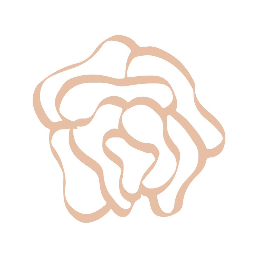 Sketch rose doodle hand drawn vector