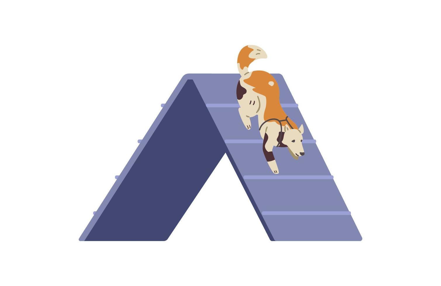 Dog training on agility field flat vector illustration. Dog passing barrier slide. Isolated.