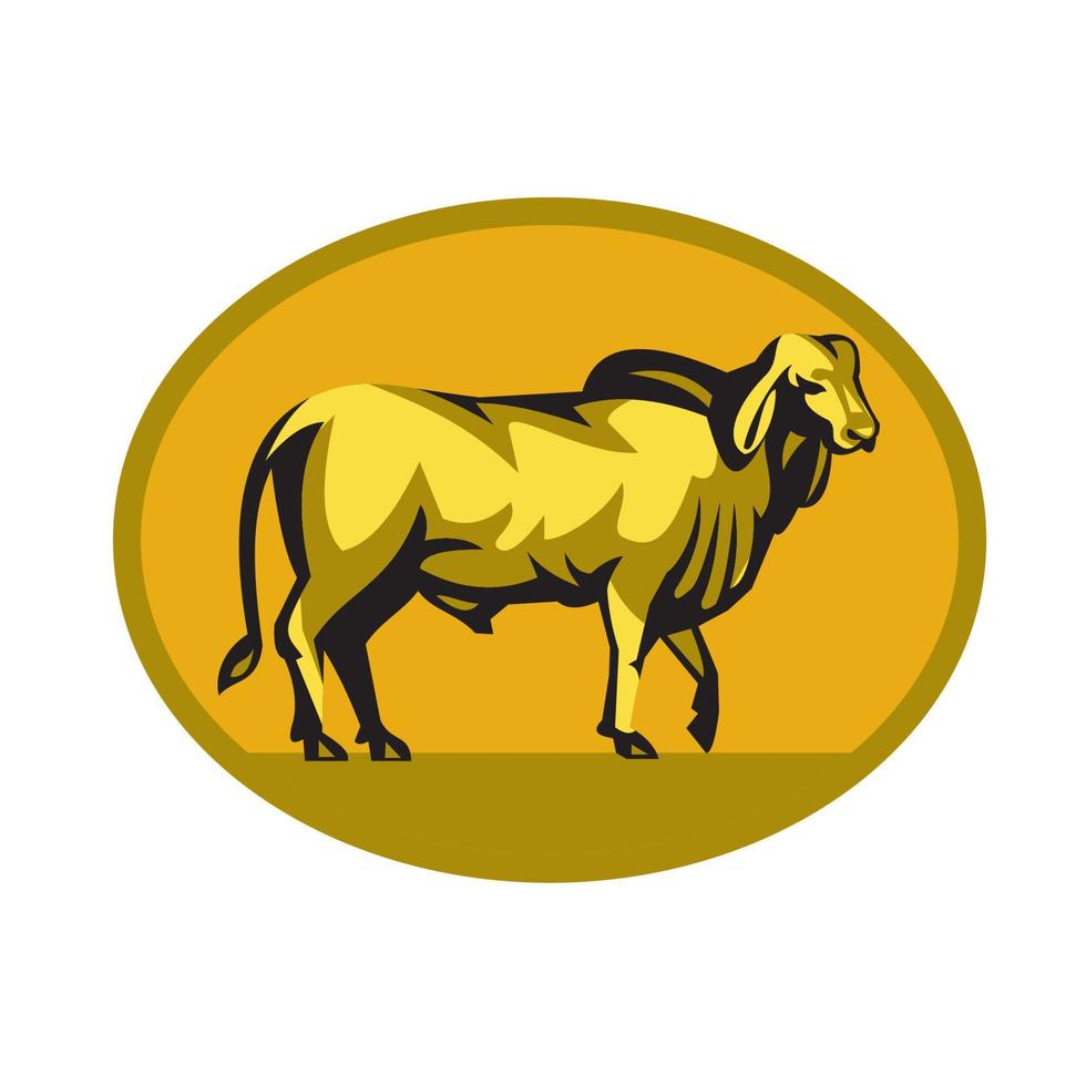 Brahman Bull Oval Retro vector