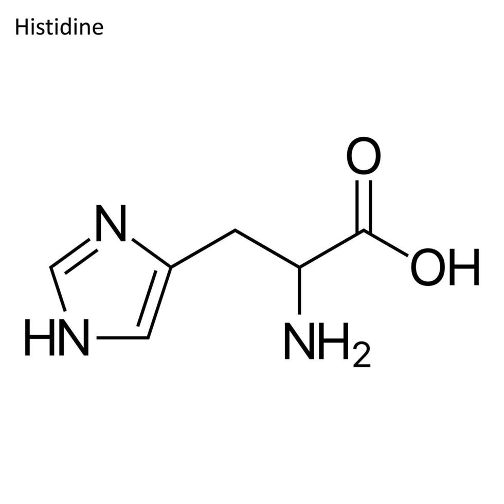 Skeletal formula of Histidine vector