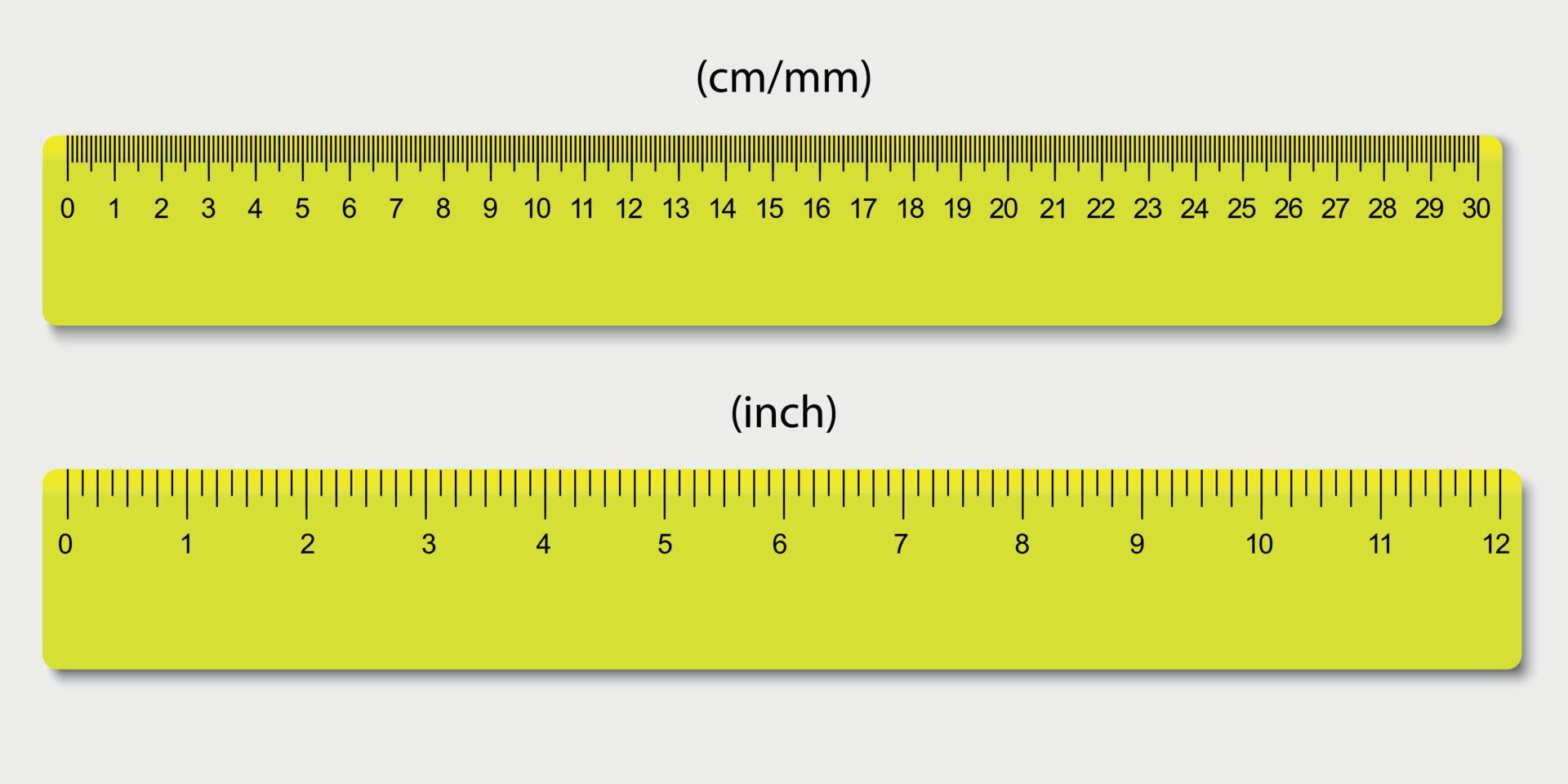 rulers, marked in centimeters and inches vector