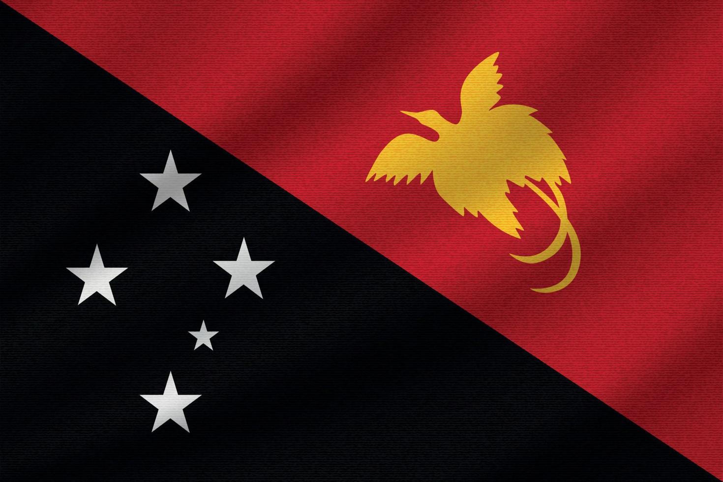 bandera nacional de papua nueva guinea vector