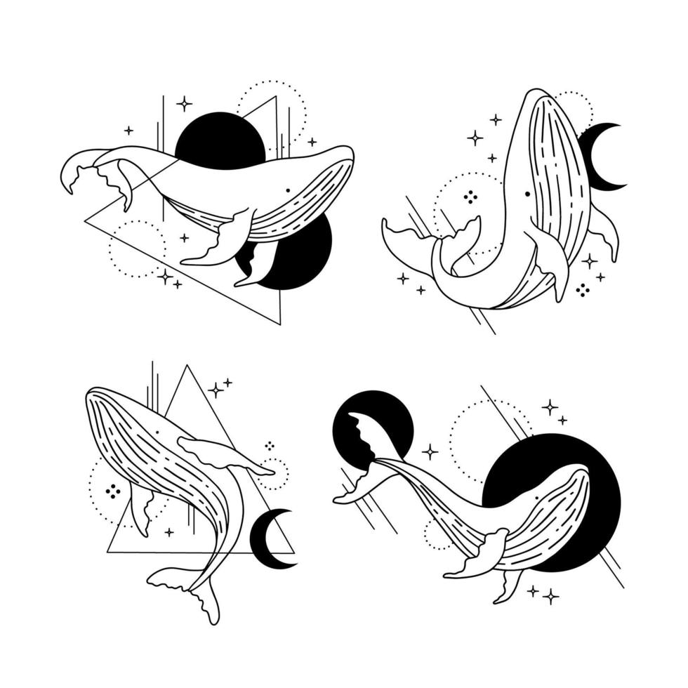 colección de ballenas tatuadas dibujadas a mano con un estilo de arte de línea simple vector