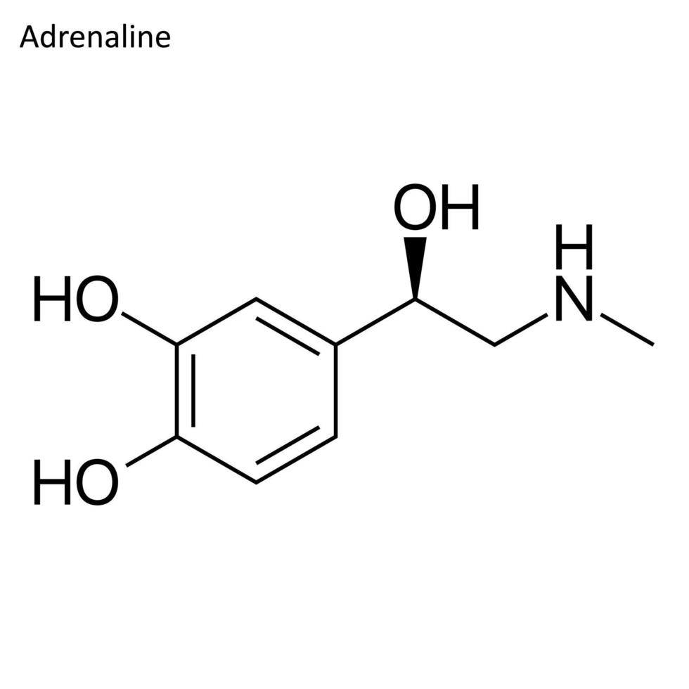 fórmula esquelética de adrenalina vector