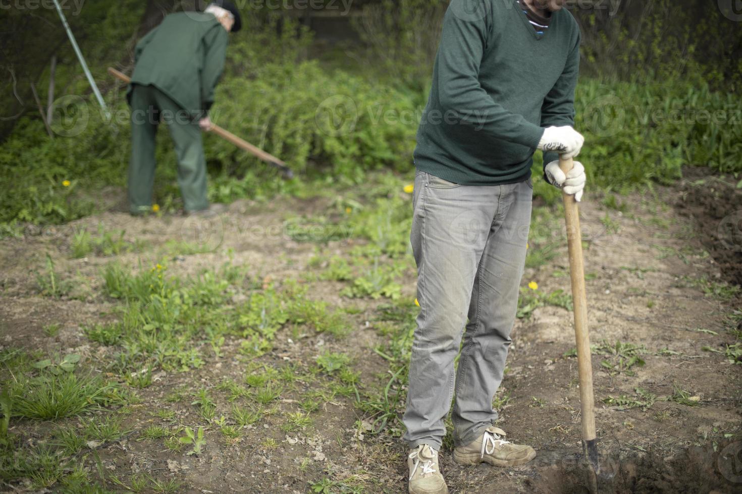 Grandfather and grandson in garden. Digging up garden. photo