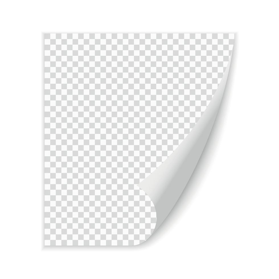 blank page vector illustration