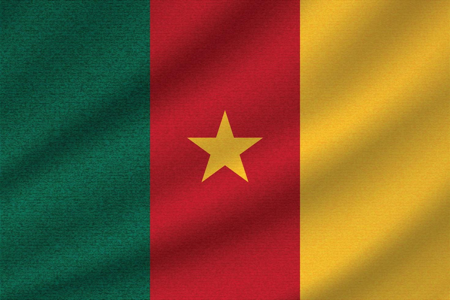 bandera nacional de camerún vector