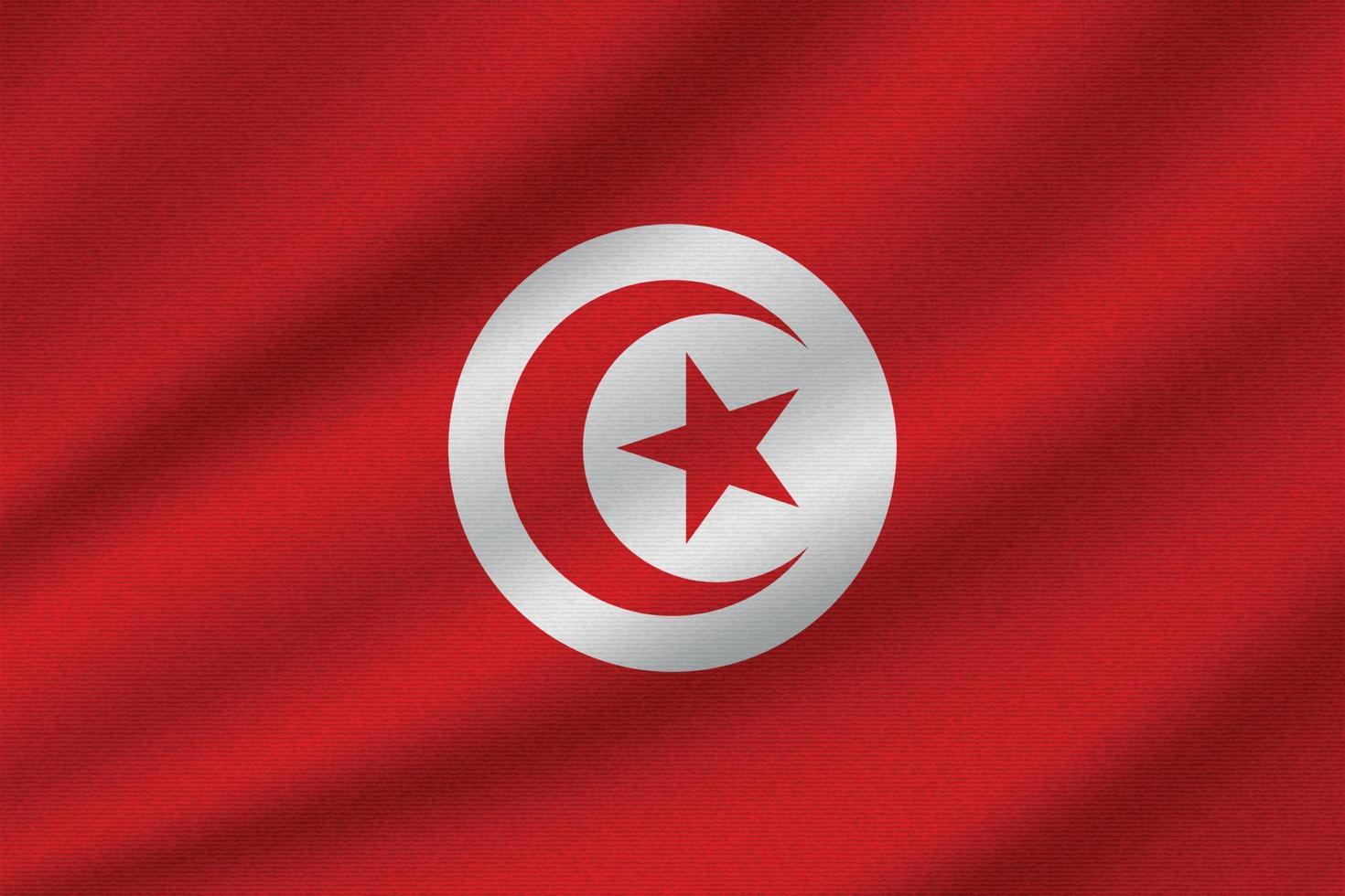 national flag of Tunisia vector