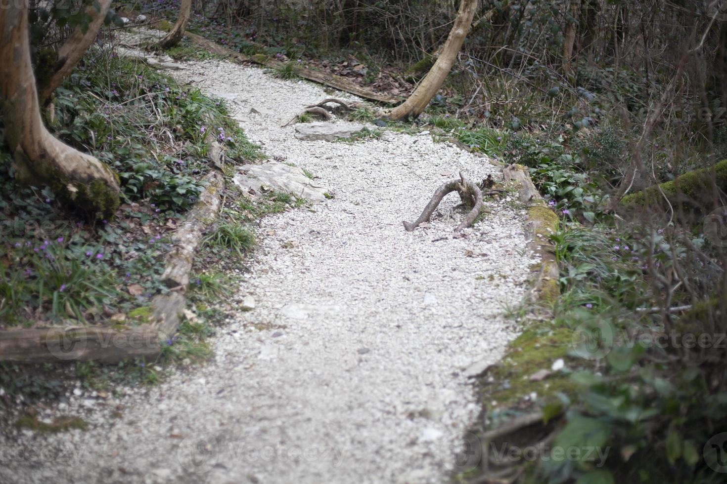 Trail for tourists in a nature reserve. Wildlife trail. A tourist route for a walk in an unknown place. photo