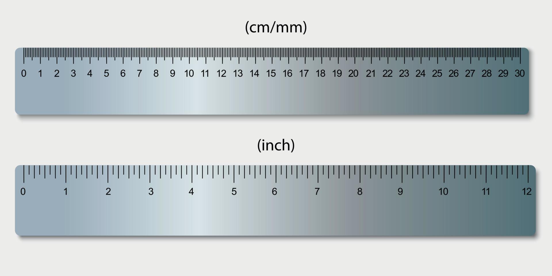 rulers, marked in centimeters and inches . Vector