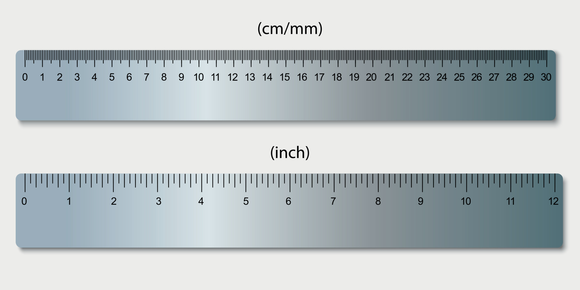 Rulers Marked In Centimeters And Inches Vector 11159641 Vector Art 