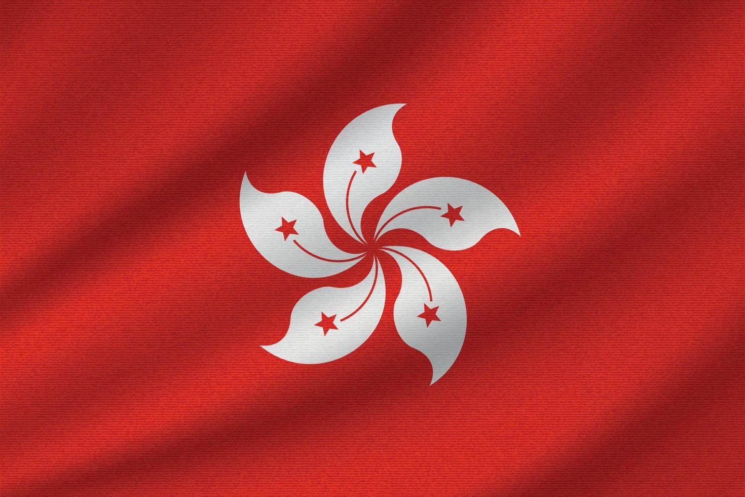 national flag of Hong Kong vector
