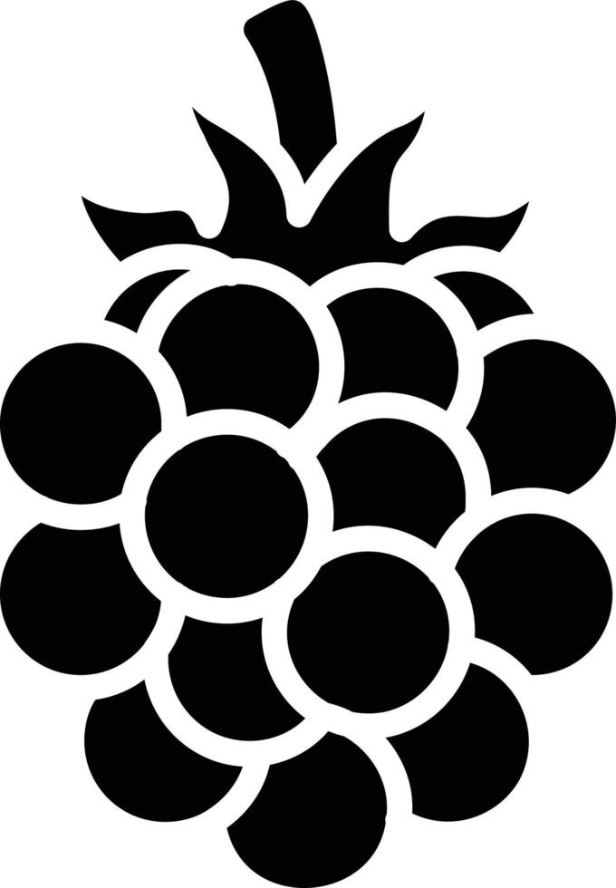 Blackberry Glyph Icon vector