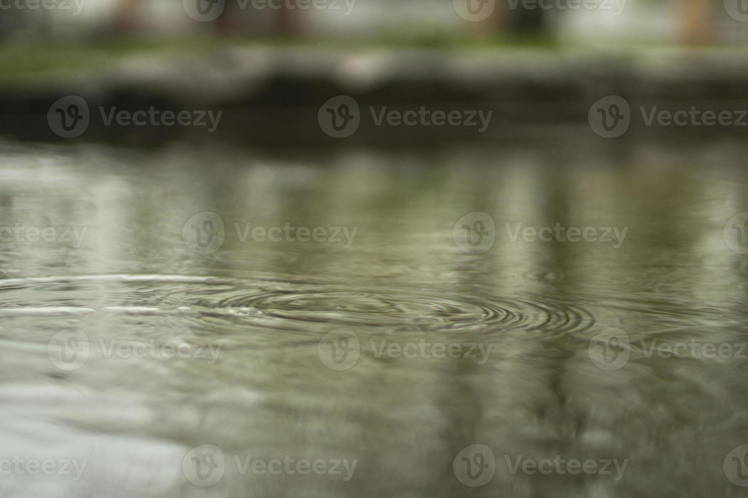 Rain outside. Large puddle in yard. Wet weather. Surface of puddle. photo