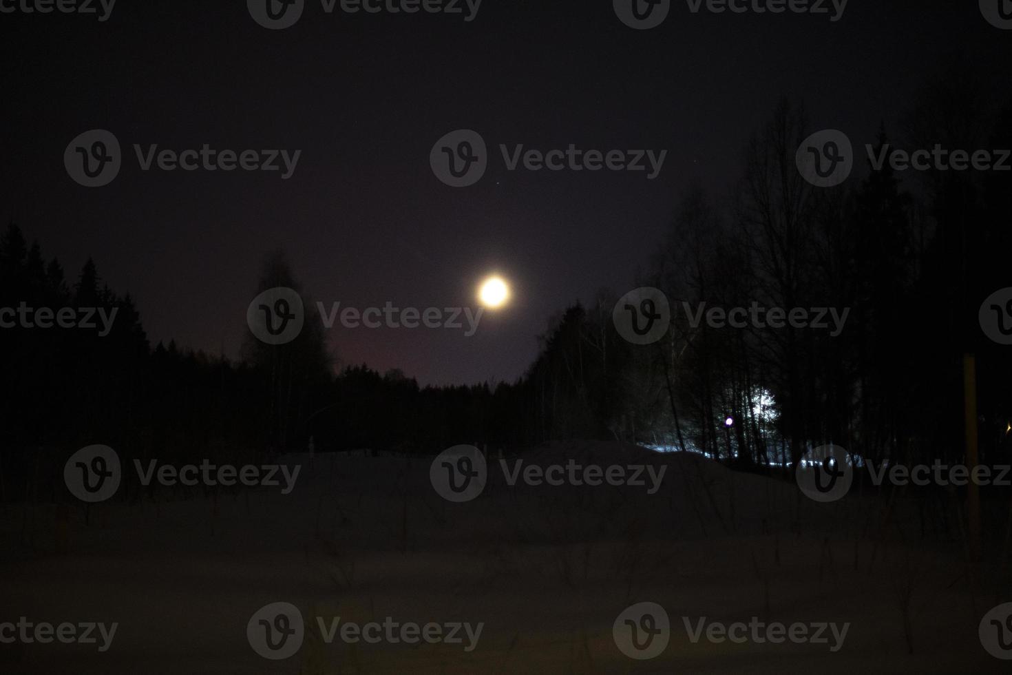 Night landscape with moon. Details of landscape at night. photo