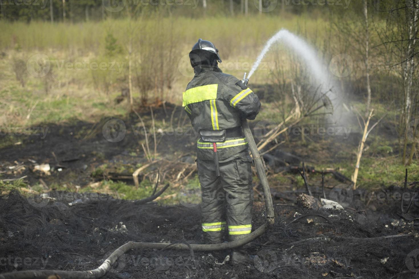 Firefighter extinguishes forest. Lifeguard pours water from hose. Work of rescue service. photo