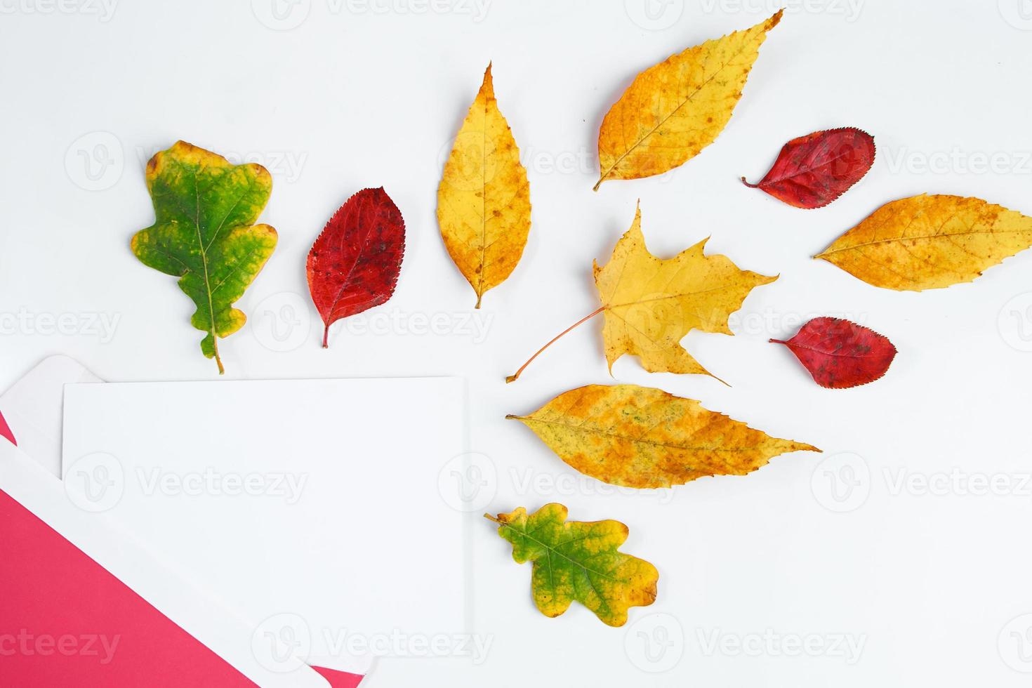 Autumn flat lay. Envelope with a blank greeting card and fallen yellow leaves on white background. photo