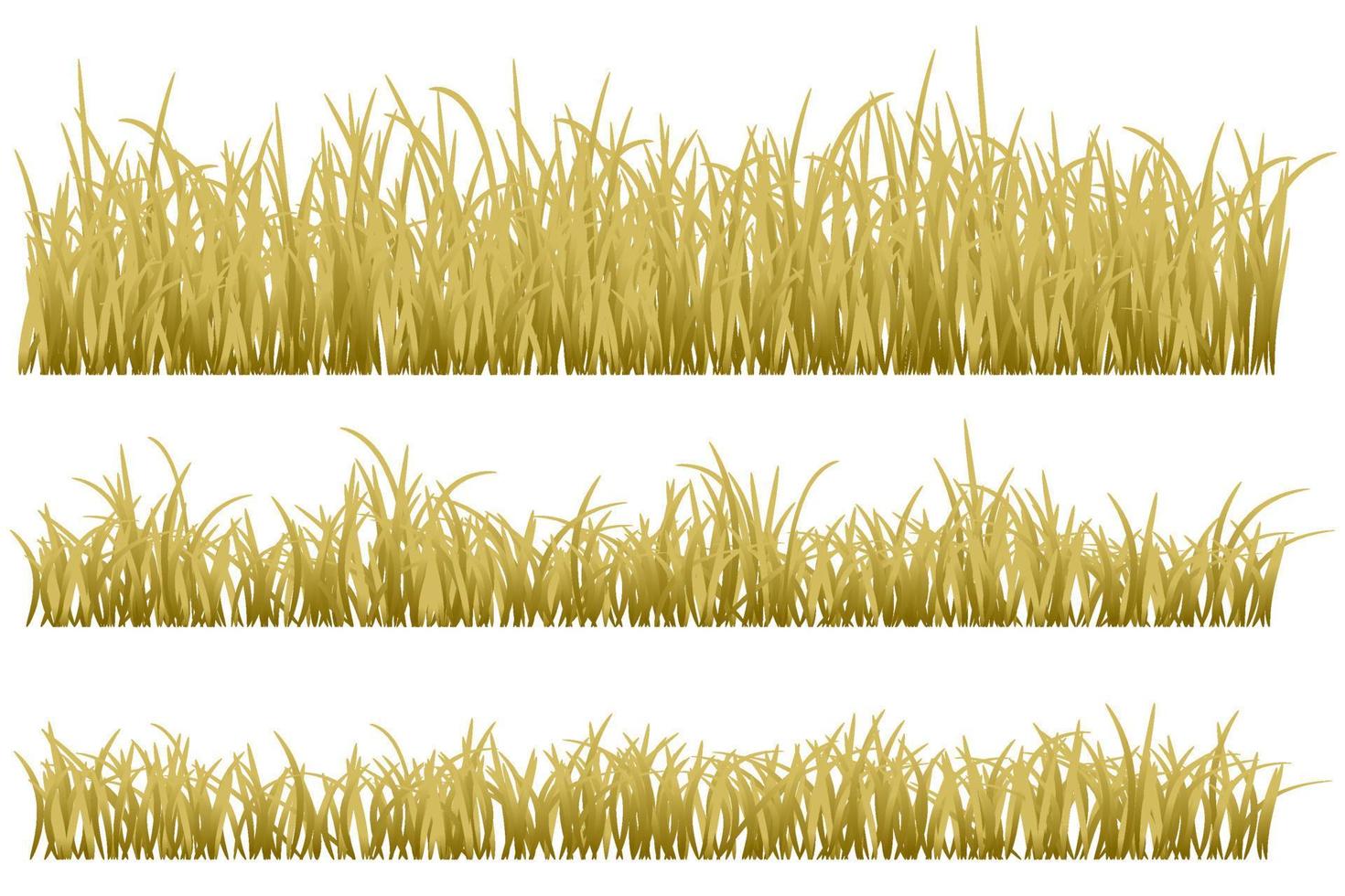 dry grass. brown grass vector