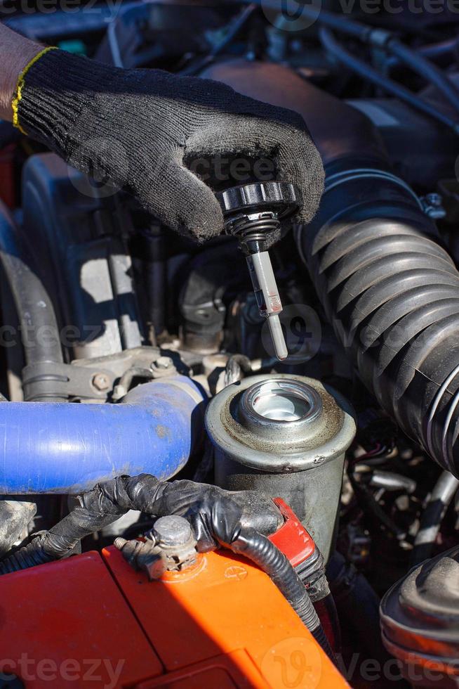 A man checks the fluid level in the power steering system photo