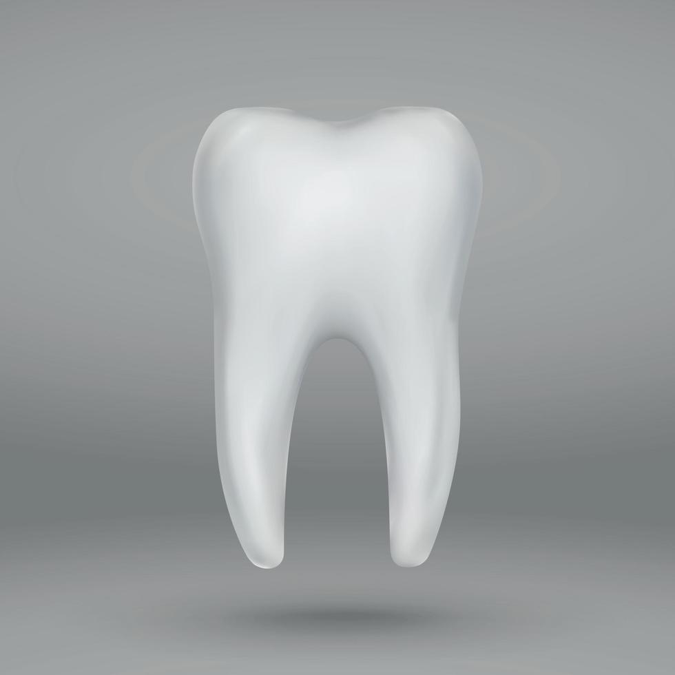 3d Tooth Isolated . Vector